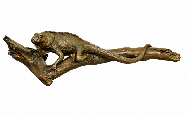 Leguan Bronze Statue auf Ast - Moderne Tierskulptur - signiert Milo