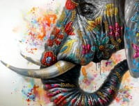 Elephant on Holi Festival – Buntes Tierbild – Martin Klein – Elefantenbild
